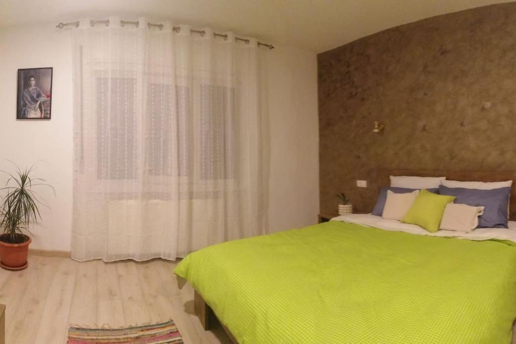הוילה באיה מארה Casa Cu Trandafiri מראה חיצוני תמונה