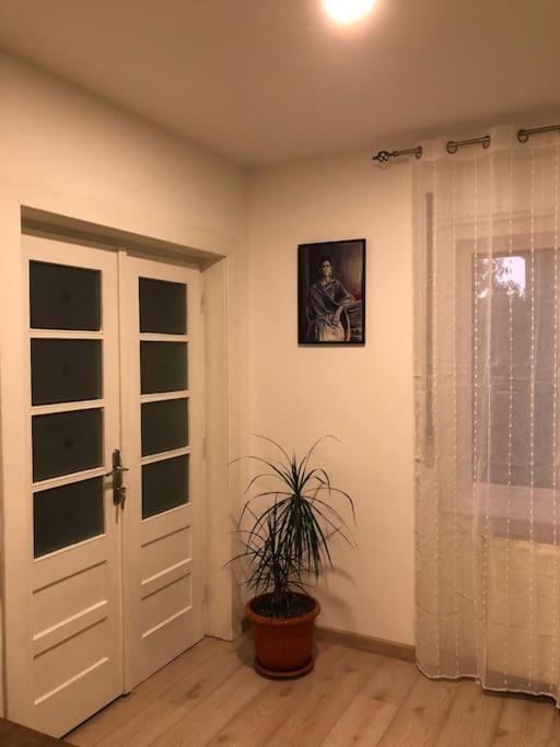 הוילה באיה מארה Casa Cu Trandafiri מראה חיצוני תמונה
