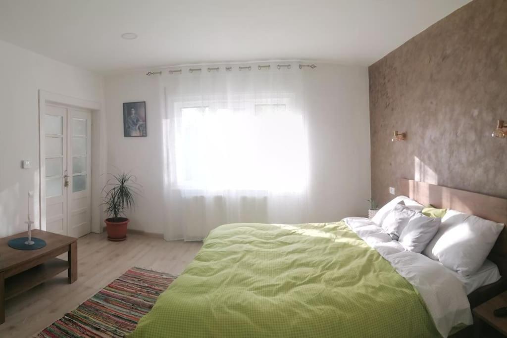 הוילה באיה מארה Casa Cu Trandafiri מראה חיצוני תמונה
