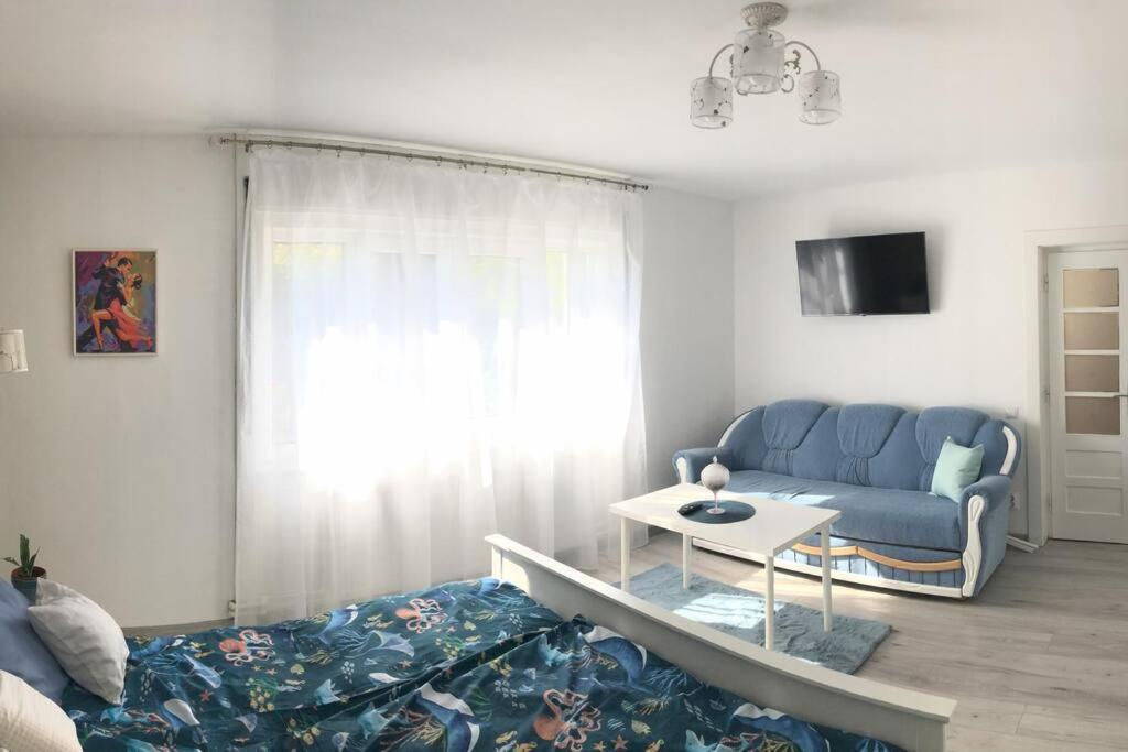 הוילה באיה מארה Casa Cu Trandafiri מראה חיצוני תמונה