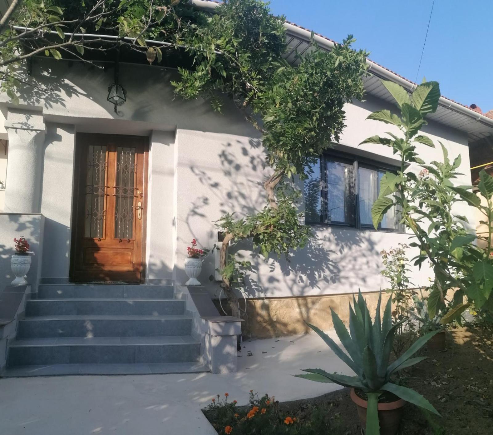 הוילה באיה מארה Casa Cu Trandafiri מראה חיצוני תמונה